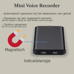 Kleinste voice recorder